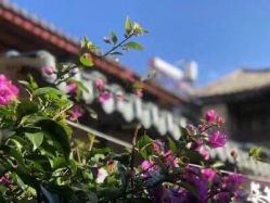 -Oasis Beauty水磨坊科技美肤中心