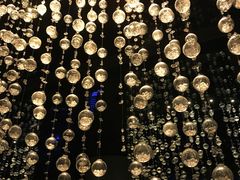 -广州四季酒店·佰鲜汇·现代法餐