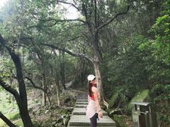 -火炉山森林公园
