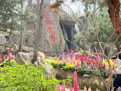 -沂蒙云瀑洞天景区