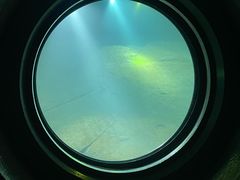 -白鹤梁水下博物馆