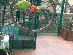 -杭州开元森泊度假乐园