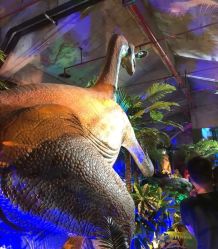 -恐龙探索乐园(磁器口店)