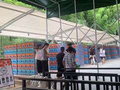 -将军关探险漂流