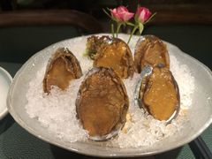 手工冰镇鲍鱼-木棉·醉心粤味(COCO Park店)