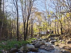 -玉渡山自然风景区