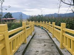 -雷波马湖风景区