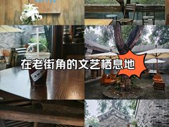 -春风习习