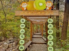 -大岭沟猕猴桃谷风景区
