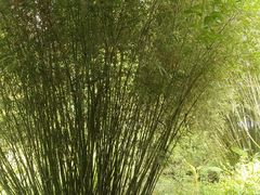 -龙头寺公园