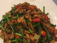 -南阳食府·河南豫菜(南阳驻京办店)