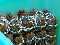 -蟹天蟹地农家菜·阳澄湖大闸蟹(浅水湾店)