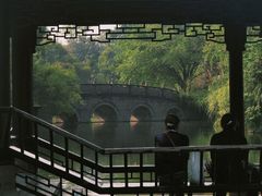 -桂湖森林公园