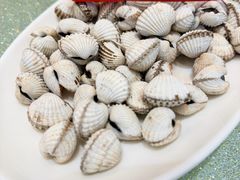白灼血蛤-舌尖上·霞浦滩涂海鲜(总店)