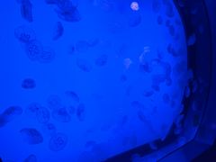 -沈阳海洋探索中心