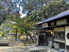 -奈良公园