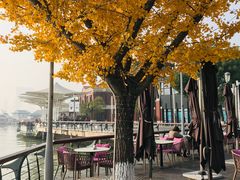 -岁粤Moon·湖景餐厅(月光码头店)