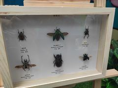 -中国杭州低碳科技馆