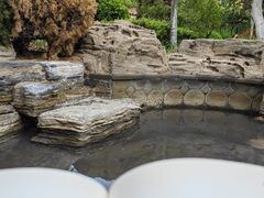 -青岛香根温泉酒店