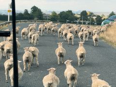 -霍比特人村