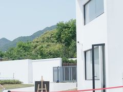 -龙坞茶村