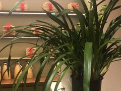 -荷风细雨·中国茶宴(世纪大道店)