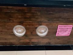 -逗柴咖啡屋·狗咖猫咖宠物桌游