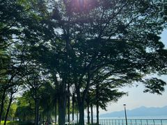 -深圳湾公园(南山区)
