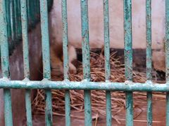 -广东茂名森林公园