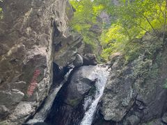 -云岫谷游猎自然风景区