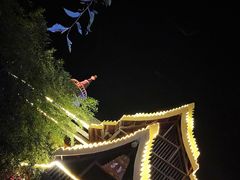 -呀路古热带植物园