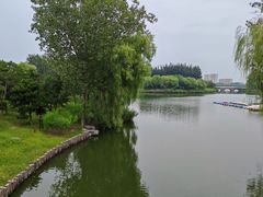 -大兴滨河森林公园
