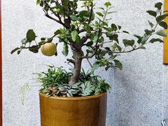 -希望日本料理(保利香槟花园店)