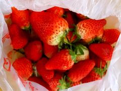 -乐乐鲜果水果超市(河北店)