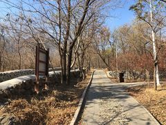 -阳台山自然风景区