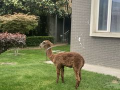 -瑞博尔花园酒店(太周创新产业园店)