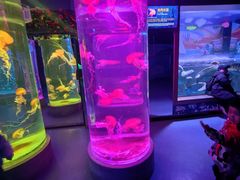 -秦皇岛新澳海底世界
