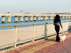 -海堤纪念公园