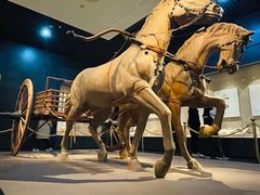 -平顶山博物馆