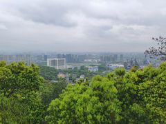 -杭州半山国家森林公园