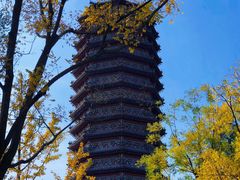 -西海子公园