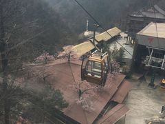 -罗田天堂寨风景区