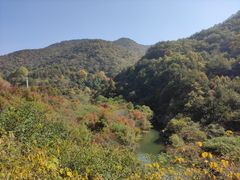 -武汉姚家山旅游景区