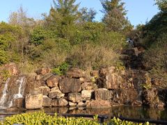 -广东花都湖国家湿地公园