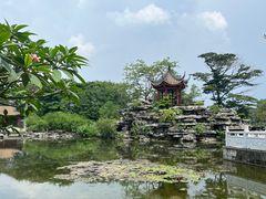 -顺峰山公园