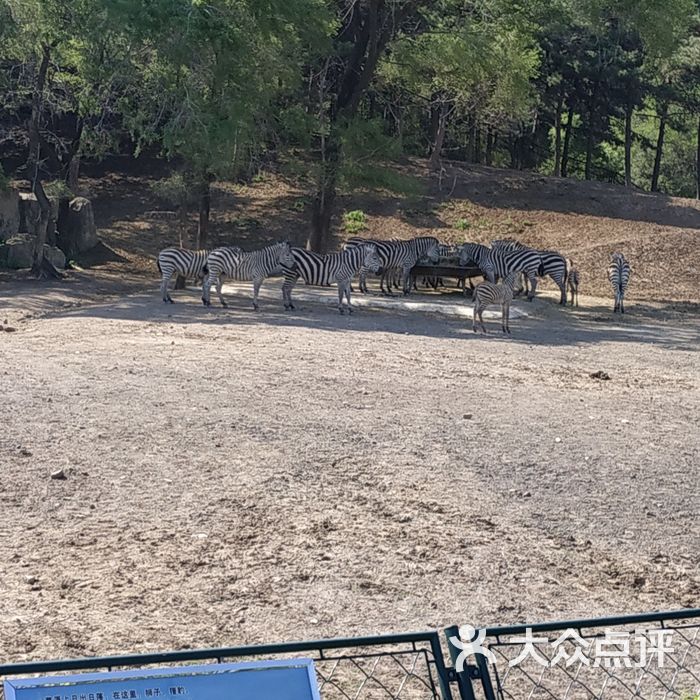 瀋陽森林動物園