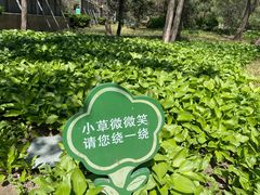 -方庄体育公园