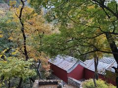 -北京上方山国家森林公园