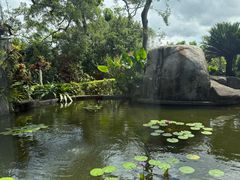 -鼓浪屿钢琴博物馆