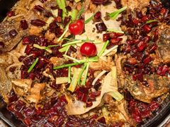 -老板恋上鱼(恒隆广场店)